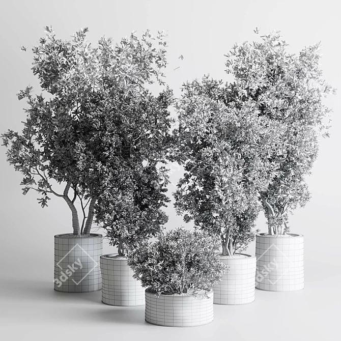 Concrete Old Olive Tree Pot 3D model image 7