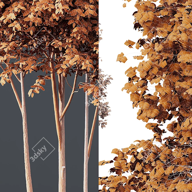  Dual Tree 3D Models Bundle 3D model image 7