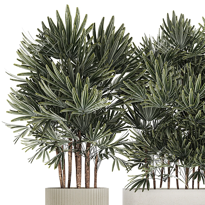 Modern White Plant Collection with Rhapis Palm 3D model image 2