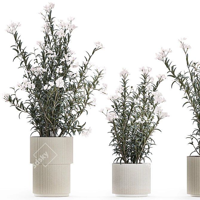 Modern White Blooming Plant Collection 3D model image 2