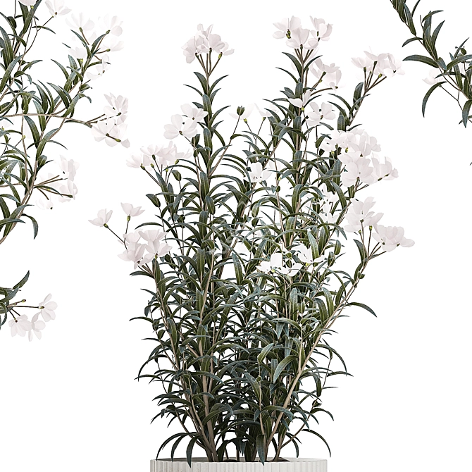 Modern White Blooming Plant Collection 3D model image 3