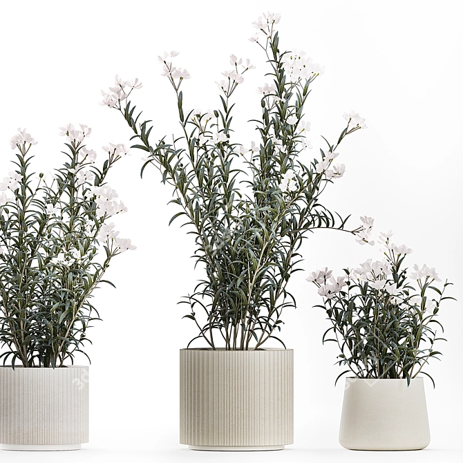 Modern White Blooming Plant Collection 3D model image 4