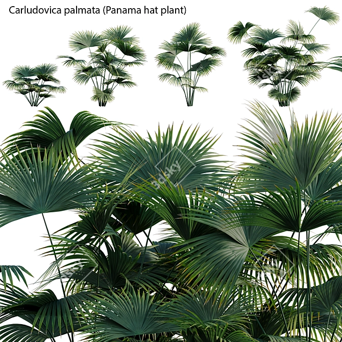 Complete 3D Plant Models Collection 3D model image 1