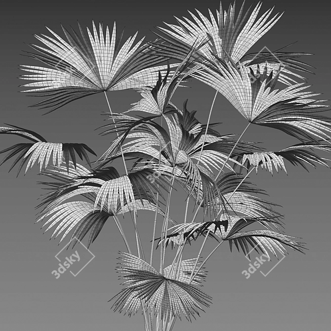 Complete 3D Plant Models Collection 3D model image 5