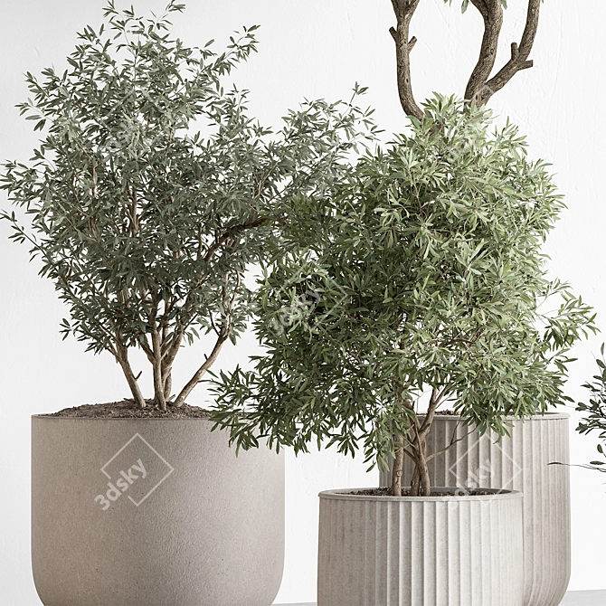 Indoor Tree Plant in Pot 3D model image 5