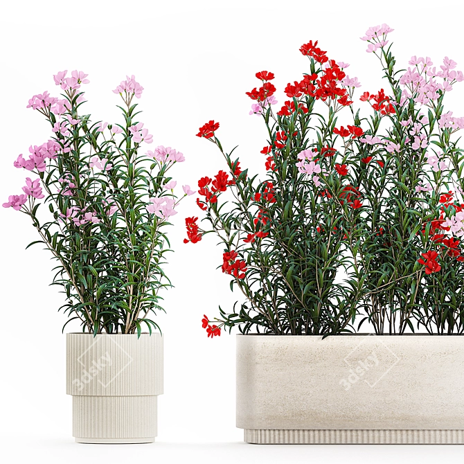 Modern White Planter Rose & Red Oleander Set 3D model image 2