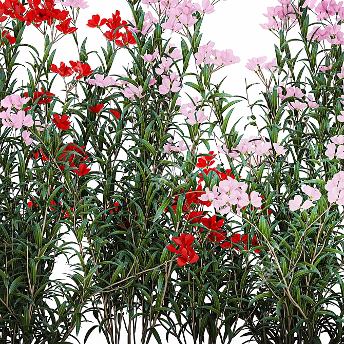 Modern White Planter Rose & Red Oleander Set 3D model image 3