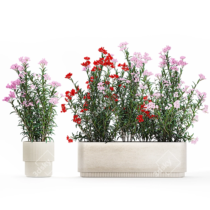 Modern White Planter Rose & Red Oleander Set 3D model image 6