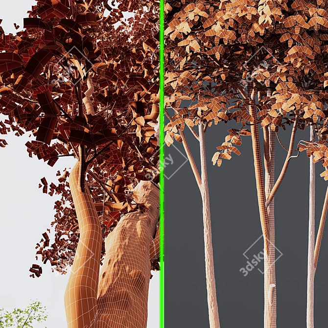 Dual 3D Tree Models Set 3D model image 7