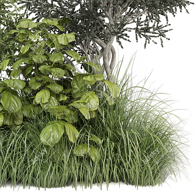 Corona Outdoor Bush Plants Set 3D model image 2