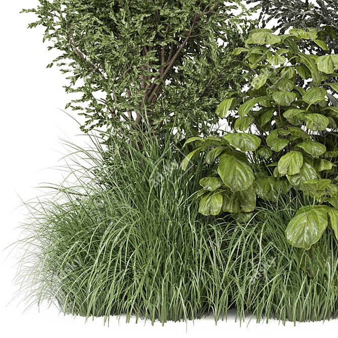 Corona Outdoor Bush Plants Set 3D model image 3