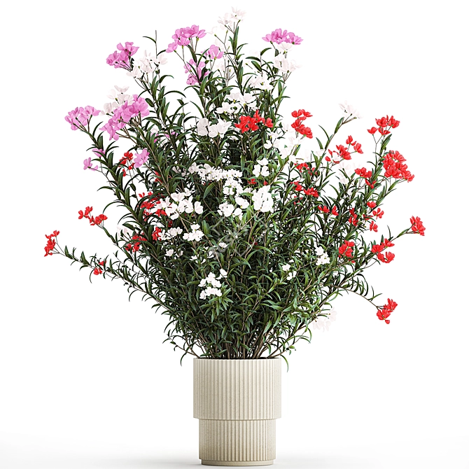 Blooming Oleander & Nerium Collection 3D model image 1