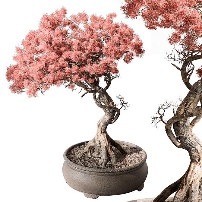 Pink Flower Bonsai Indoor Plant 3D model image 1