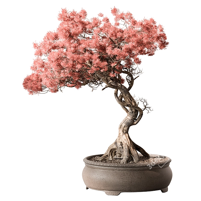 Pink Flower Bonsai Indoor Plant 3D model image 4