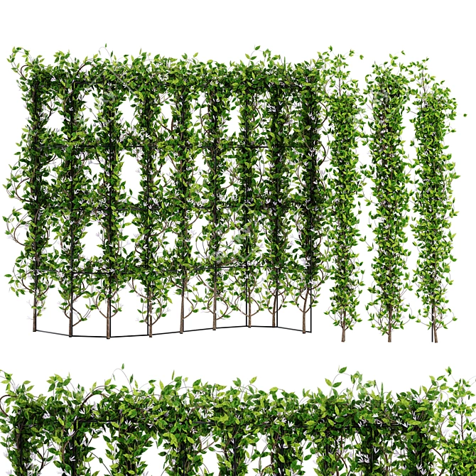 Dual Ivy Plant 3D Models 3D model image 1