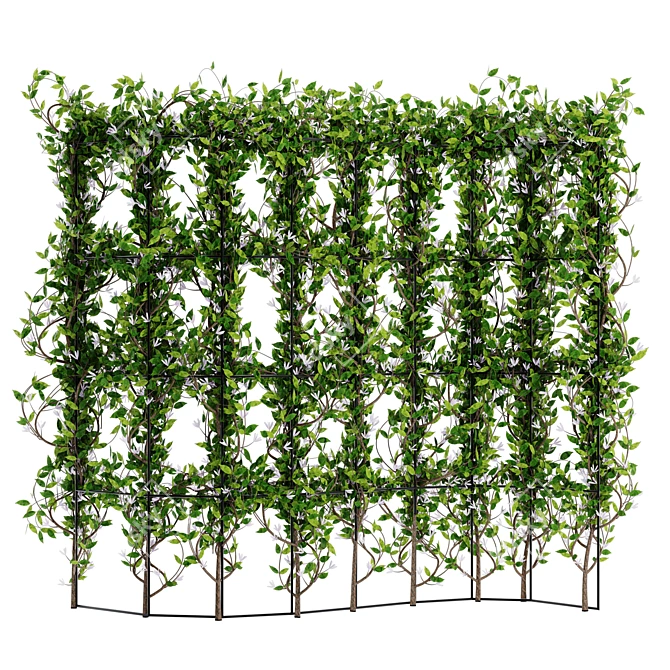 Dual Ivy Plant 3D Models 3D model image 2