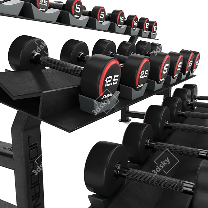 Compact Dumbbell Storage Rack 3D model image 2