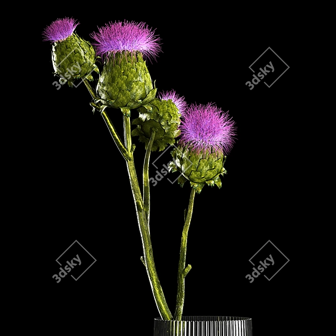 Green Thistle Bouquet in Modern Vase 3D model image 3