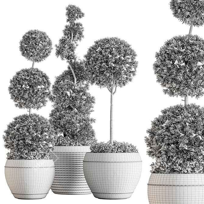 Topiary Ball Outdoor Plants 3D model image 3