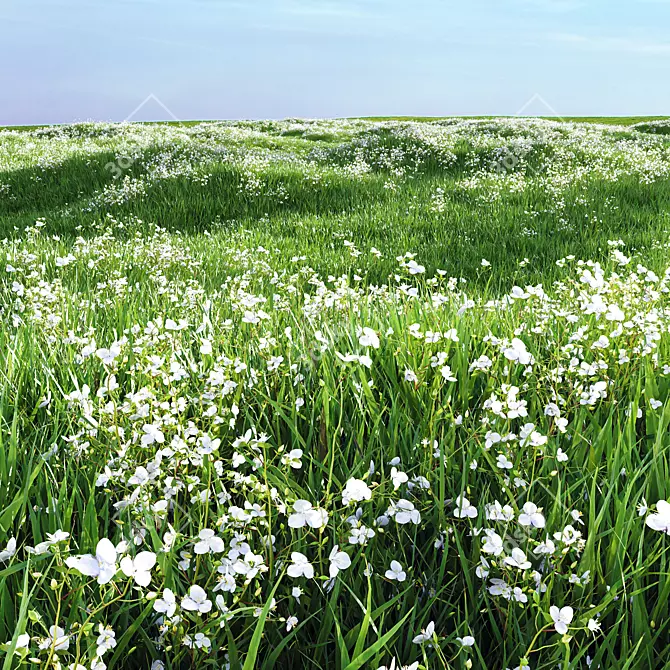 Luxury Grassland with Floral Decor 3D model image 2