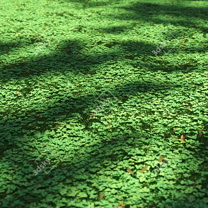 Lush Clover Lawn Asset Kit 3D model image 3