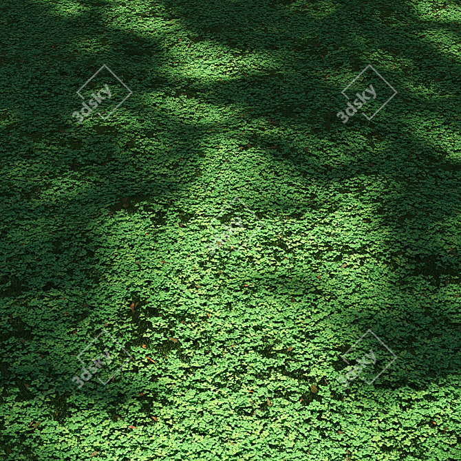 Lush Clover Lawn Asset Kit 3D model image 4