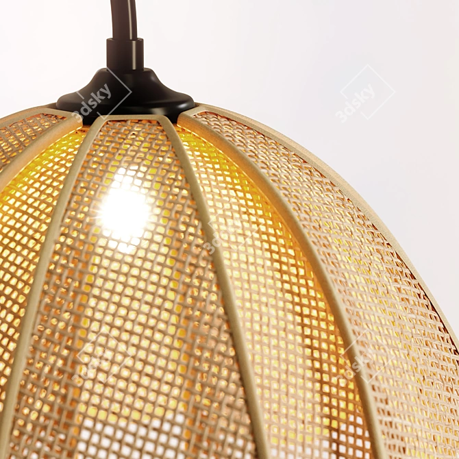 Rattan and Metal Petal Wall Sconce 3D model image 4