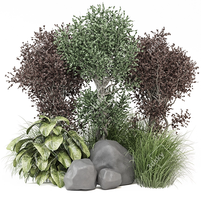 Outdoor Bush Plants Set 989 3D model image 1