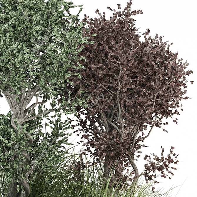 Outdoor Bush Plants Set 989 3D model image 4