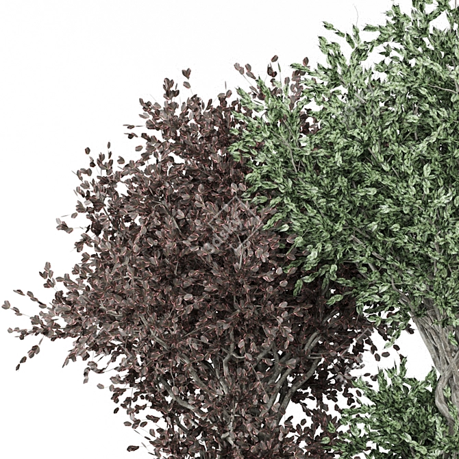 Outdoor Bush Plants Set 989 3D model image 5