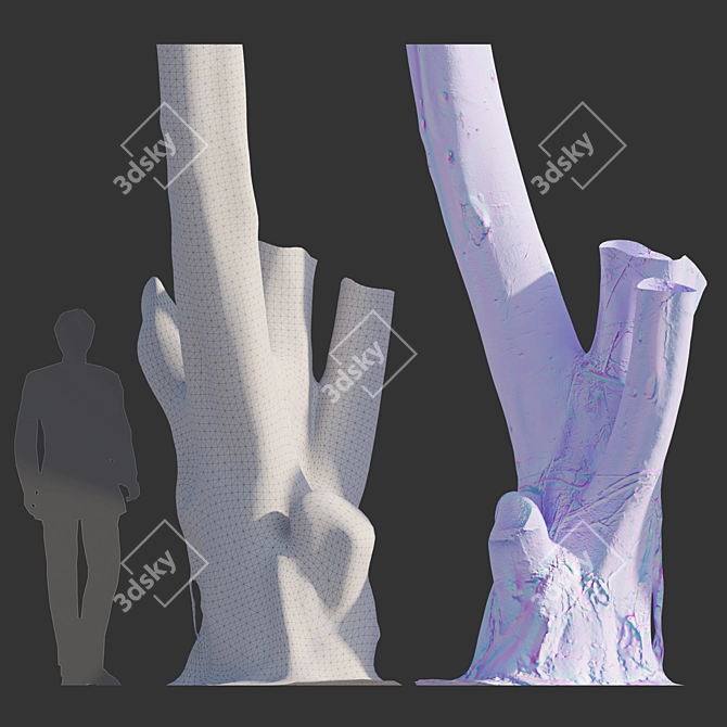 Full-spectrum Ficus Tree Pack 3D model image 3