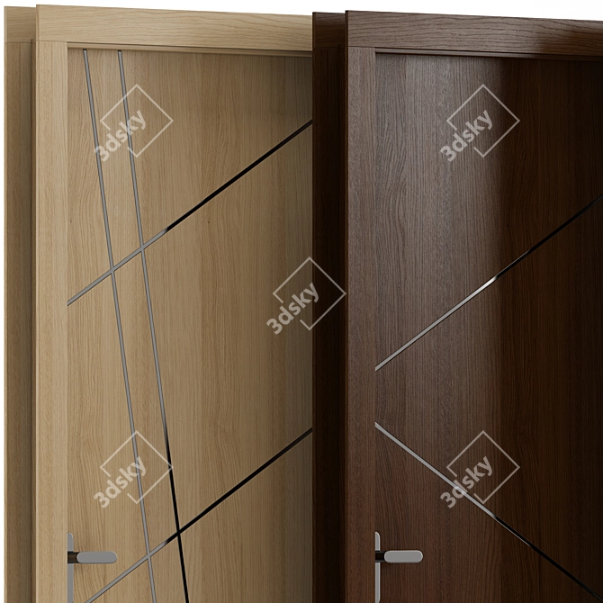 Oakwood Metal Interior Doors 3D model image 4