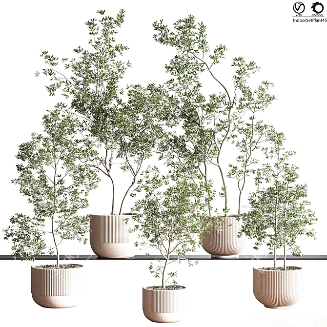 Modern Indoor Plant Set - 3Ds Max & OBJ 3D model image 1