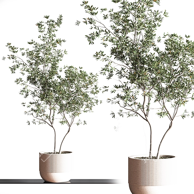 Modern Indoor Plant Set - 3Ds Max & OBJ 3D model image 3