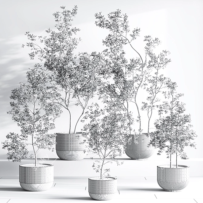 Modern Indoor Plant Set - 3Ds Max & OBJ 3D model image 5