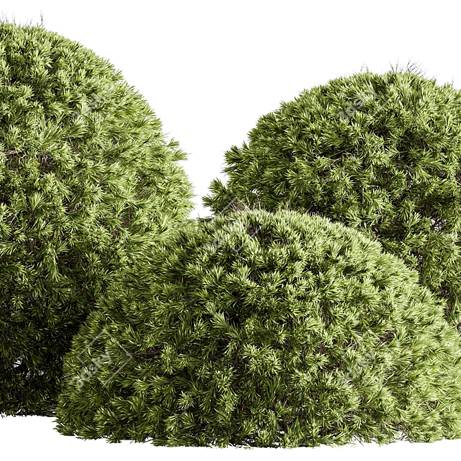 Handcrafted Topiary Ball Bush 3D model image 2