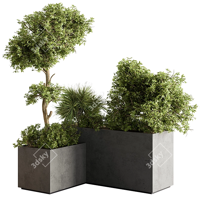 Outdoor Plants Box 559 3D model image 1