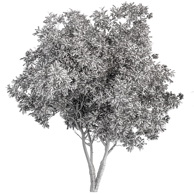 Oleander Tree Set 229 3D model image 3