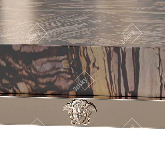 Luxury Versace Zahara Coffee Table 3D model image 2