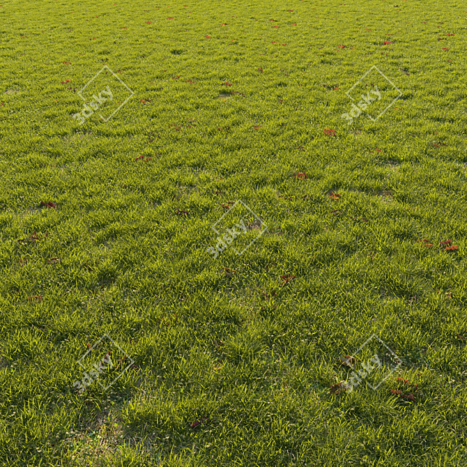 Autumn Grass Scatter Set 3D model image 1