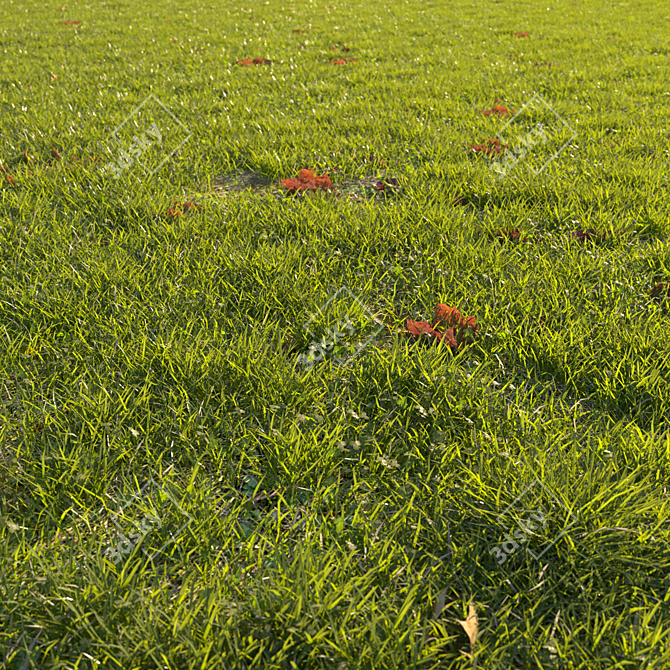 Autumn Grass Scatter Set 3D model image 2