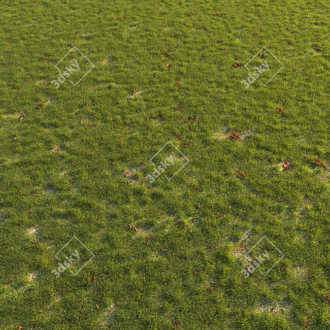 Autumn Grass Scatter Set 3D model image 3