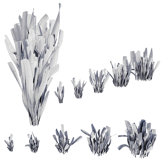 Sansevieria Bush Set | 4K PBR 3D model image 7