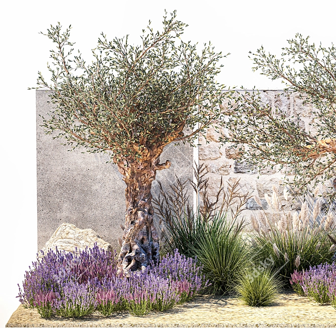 Lavender & Olive Collection 3D model image 2