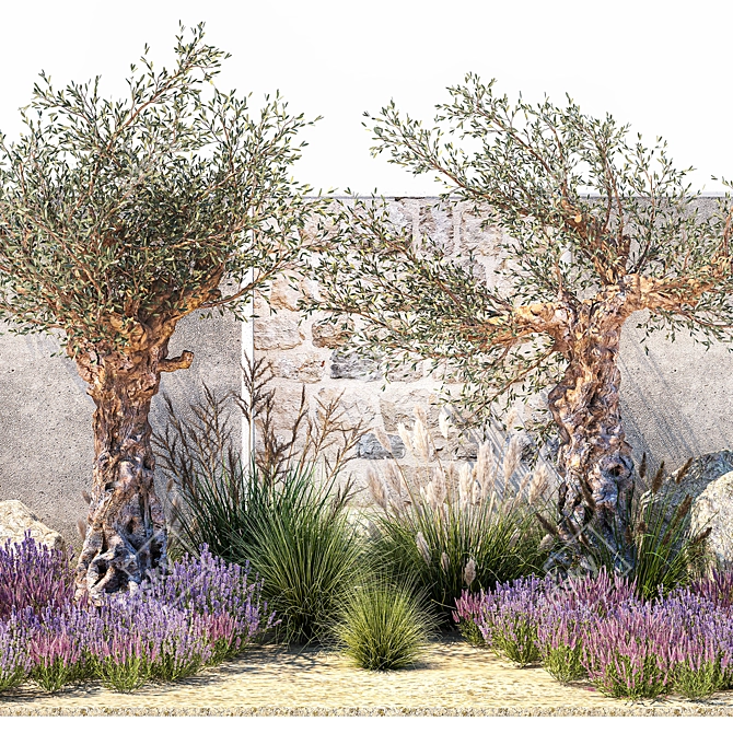 Lavender & Olive Collection 3D model image 3