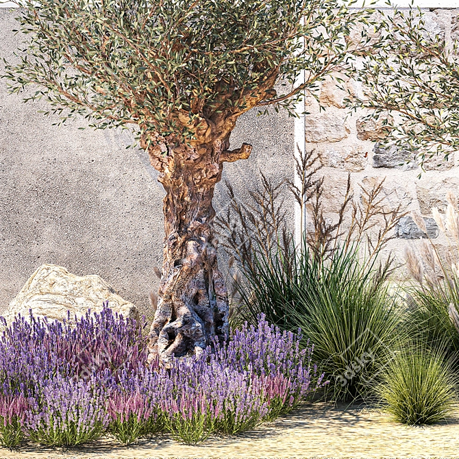 Lavender & Olive Collection 3D model image 4