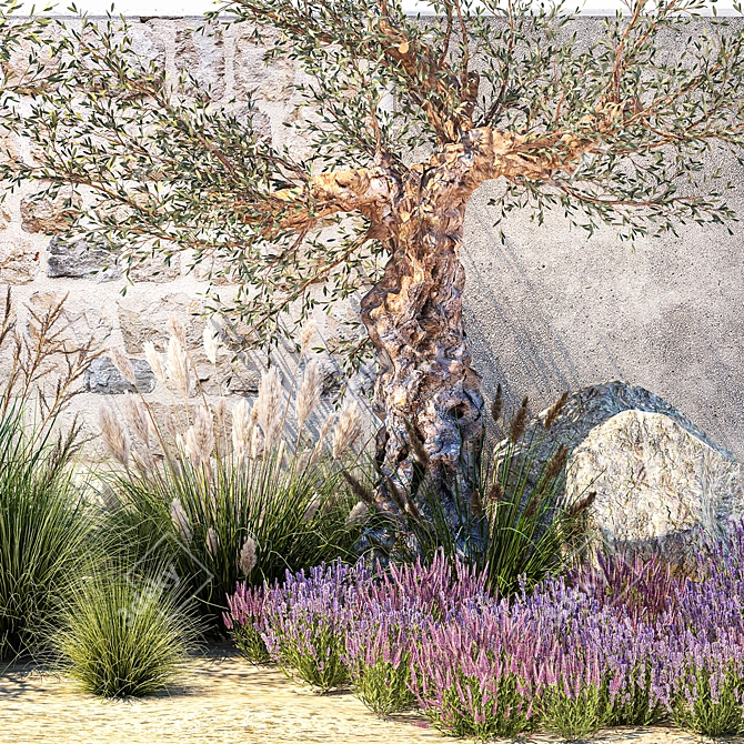 Lavender & Olive Collection 3D model image 5