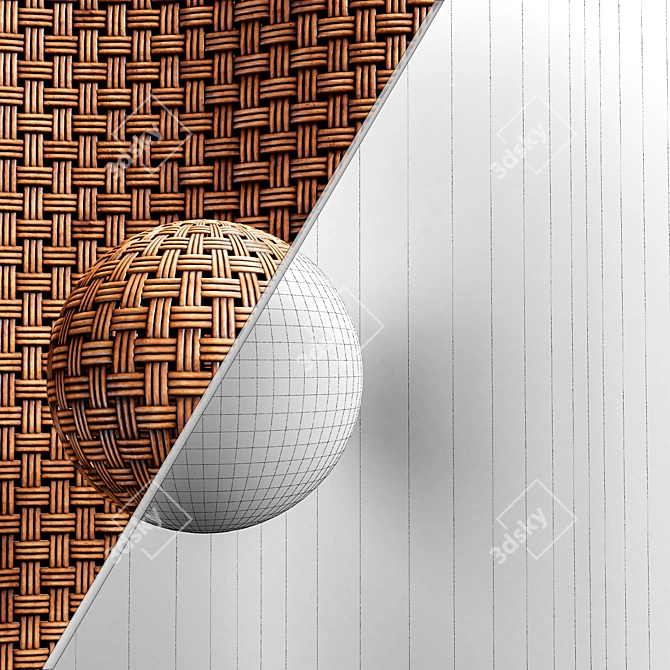 Bamboo Rattan Cane Texture Set 3D model image 6