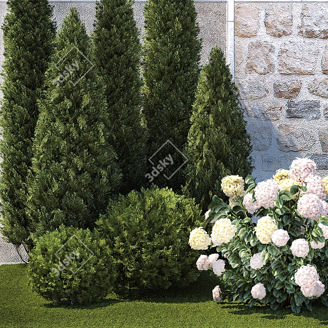 Hydrangea & Cypress Landscape Collection 3D model image 4