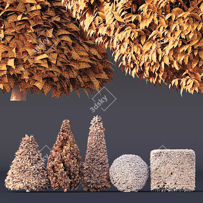 Betula Pendula 3D Evergreen Shrub 3D model image 3